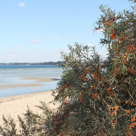 Attractive In Near The Sea Appartement *