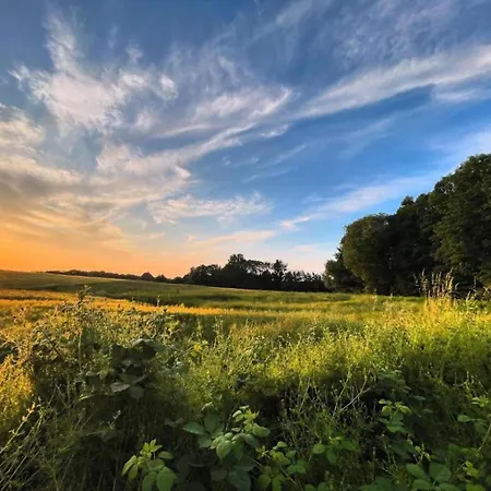 Attractive In Near The Sea Klutz