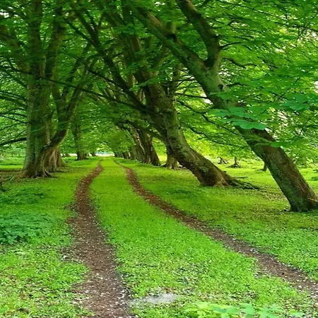 Attractive In Near The Sea