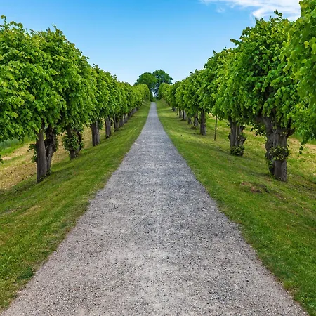 Apartmán Attractive In Near The Sea Klutz