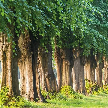 Apartmán Attractive In Near The Sea